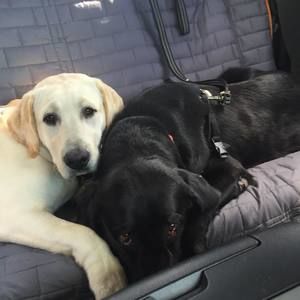 Meet your Posher, Joellen